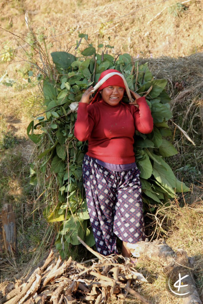 Frau trägt gebündelte Blätter über ihren Kopf und Schultern