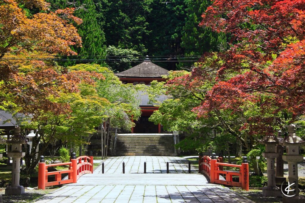 Weg zu einem Tempel, der entlang an buntgefärbten Bäumen geht